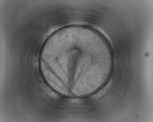 X0000096671025200802261447