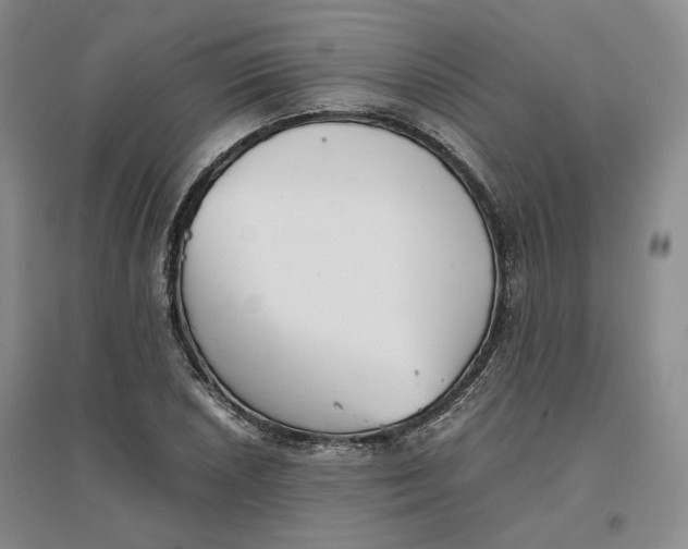 X0000096671026200802261447