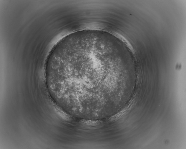 X0000096671027200802261447