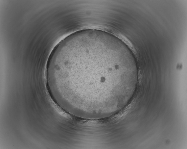 X0000096671028200802261447