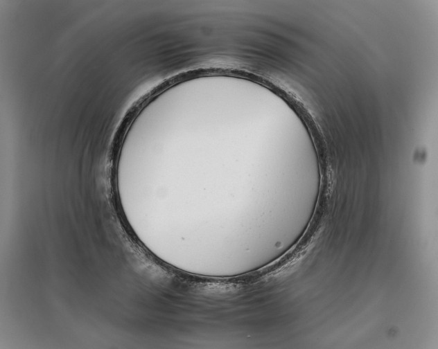 X0000096671029200802261447