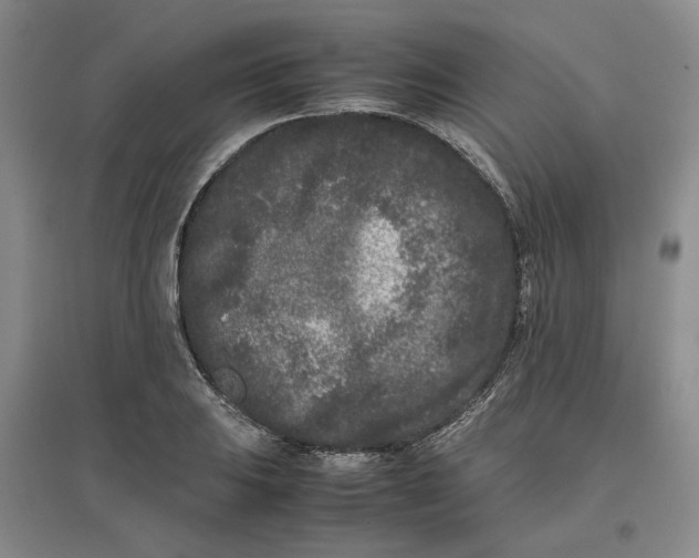 X0000096671031200802261447