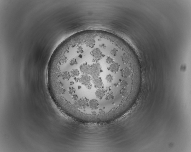 X0000096671032200802261447