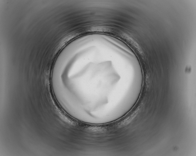 X0000096671033200802261447