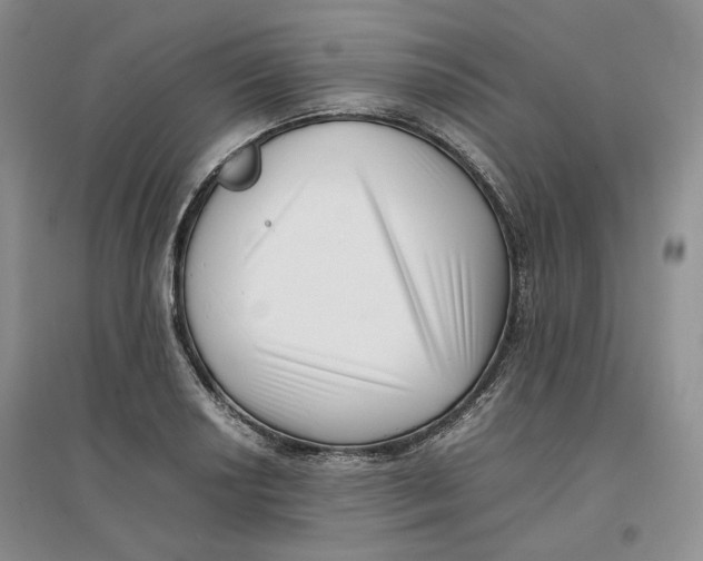 X0000096671034200802261447