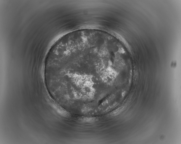 X0000096671035200802261447