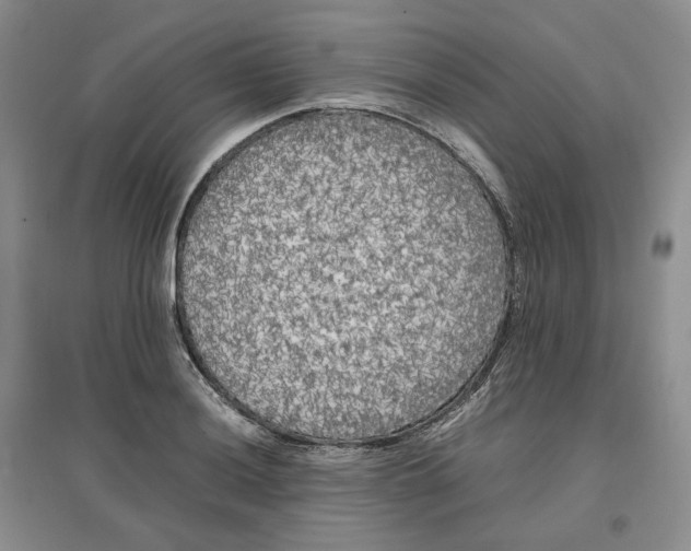 X0000096671036200802261447