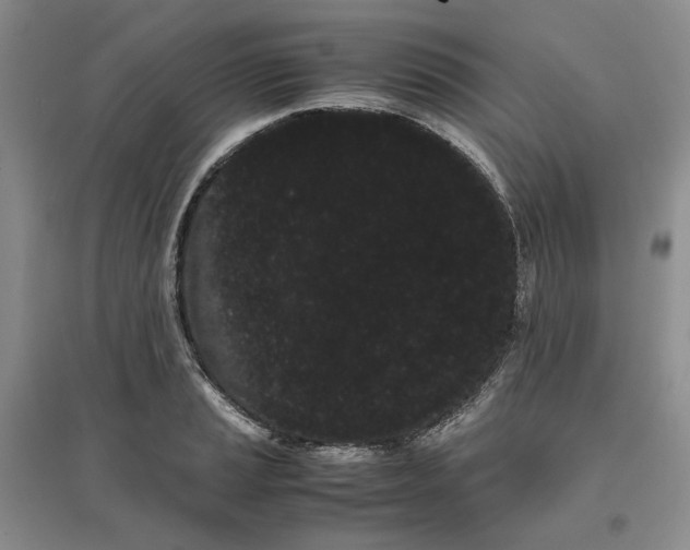 X0000096671037200802261447