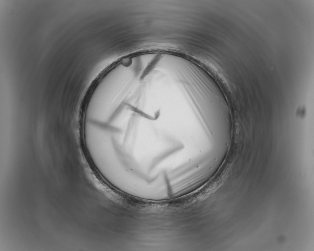 X0000096671038200802261447