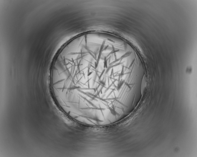 X0000096671040200802261447