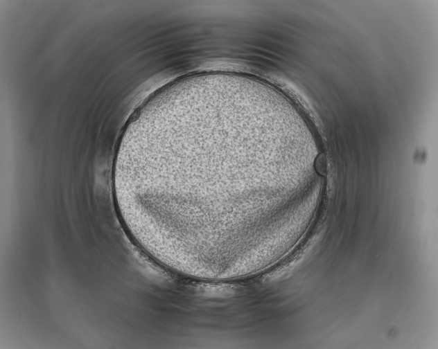 X0000096671041200802261447