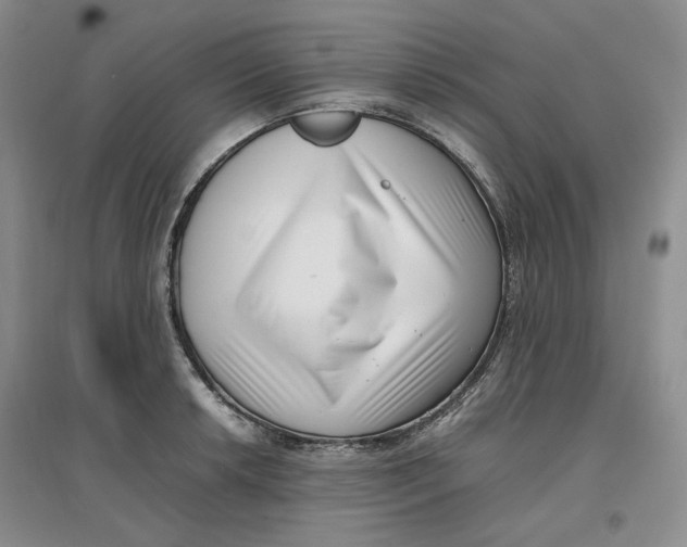 X0000096671042200802261447