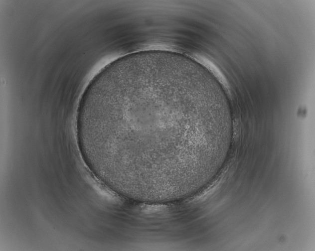 X0000096671043200802261447