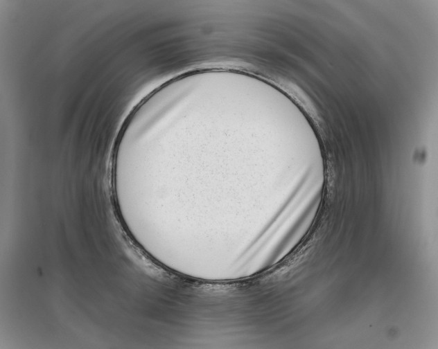 X0000096671044200802261447