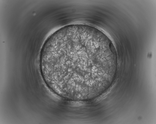 X0000096671045200802261447