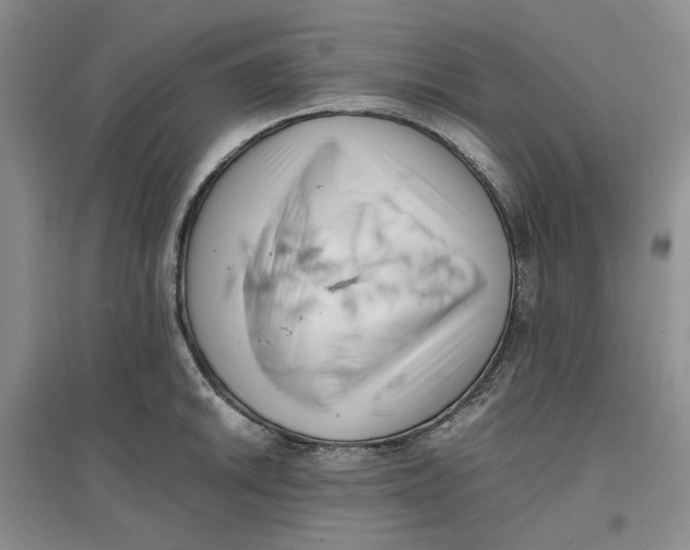 X0000096671046200802261447