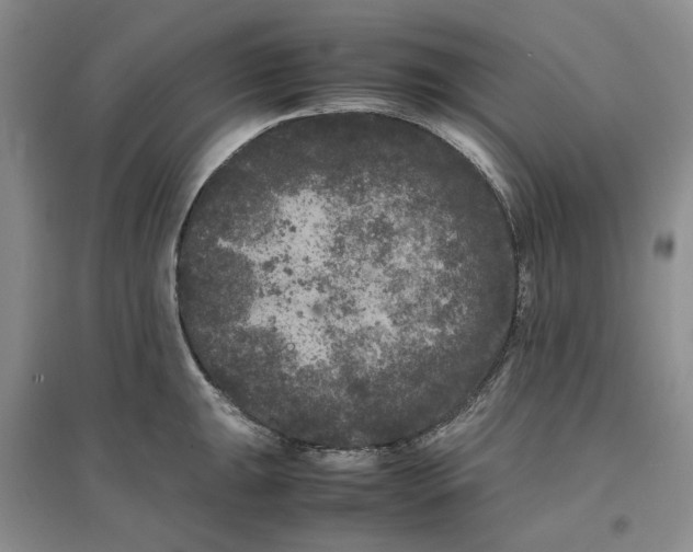 X0000096671047200802261447