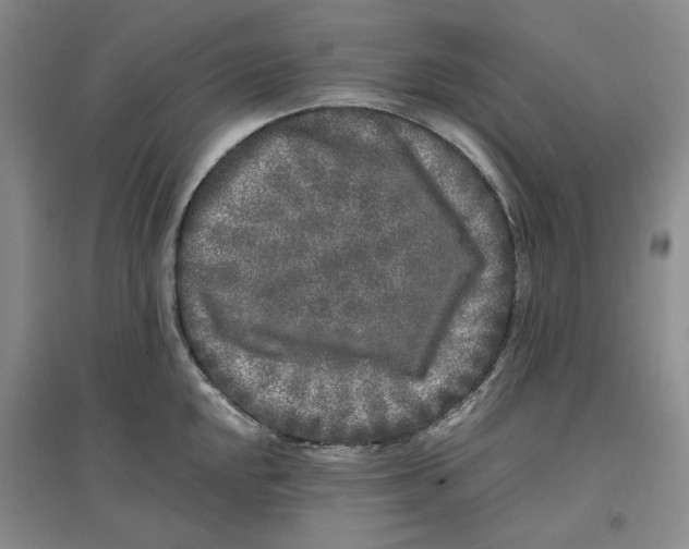 X0000096671048200802261447