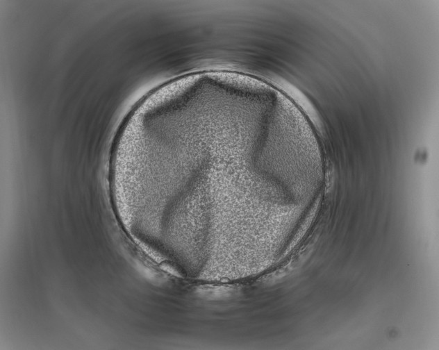 X0000096671051200802261447