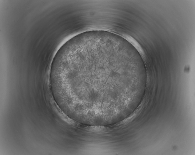 X0000096671052200802261447