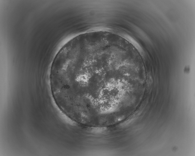 X0000096671055200802261447