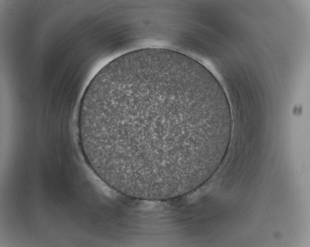 X0000096671056200802261448