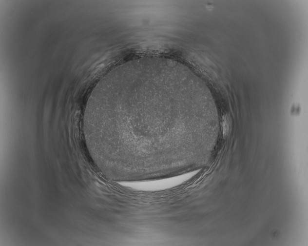 X0000096671059200802261447