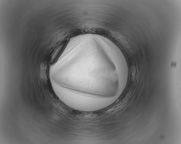 X0000096671060200802261447