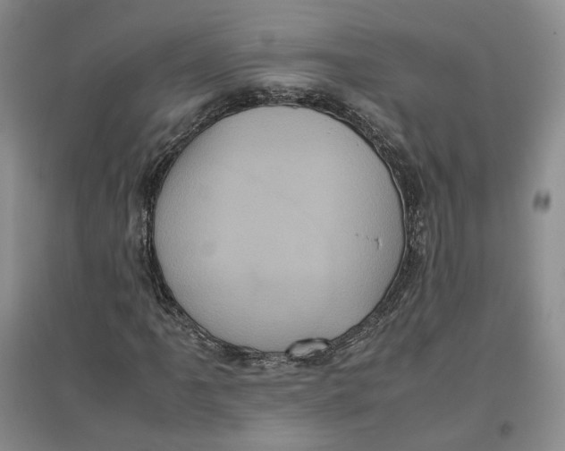 X0000096671061200802261447