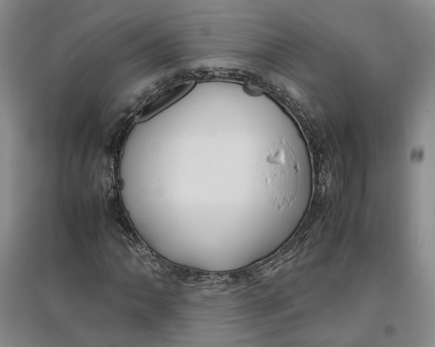 X0000096671062200802261447