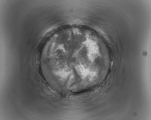 X0000096671063200802261447