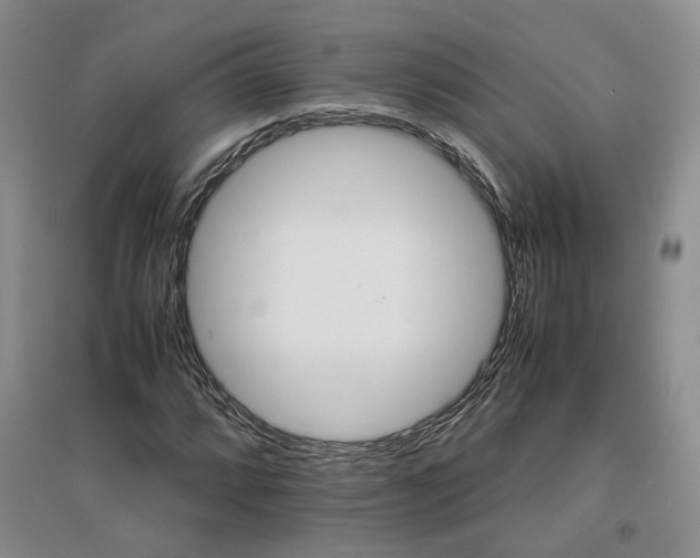 X0000096671064200802261447