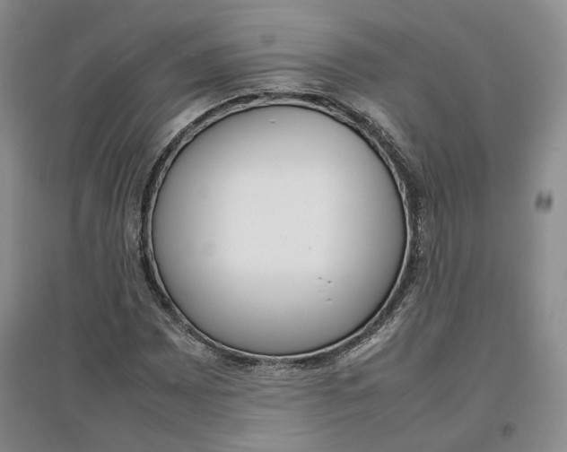 X0000096671065200802261447