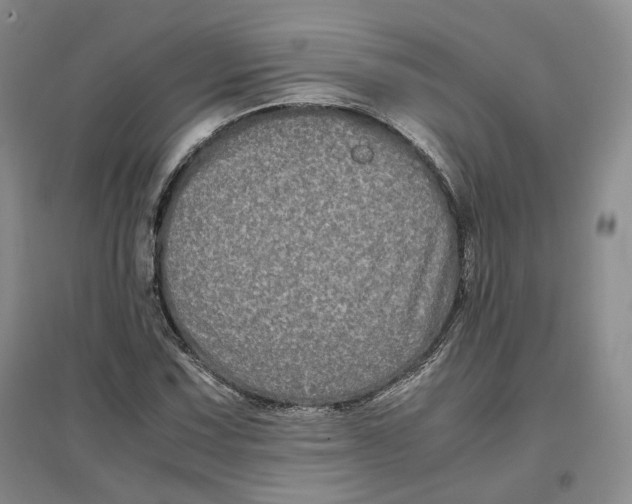 X0000096671067200802261447