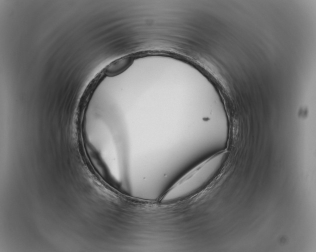 X0000096671068200802261447