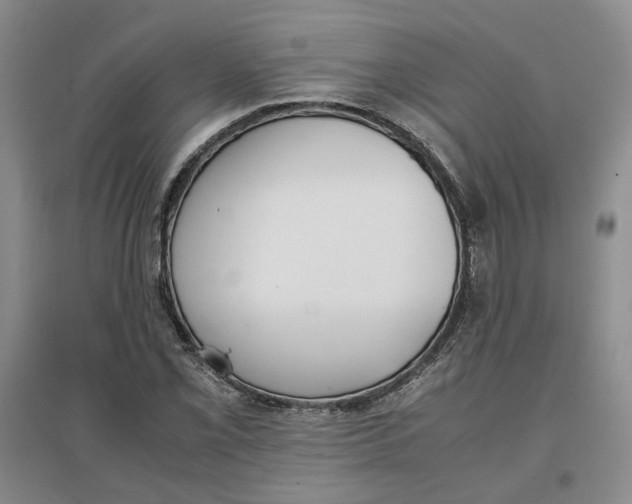 X0000096671069200802261447