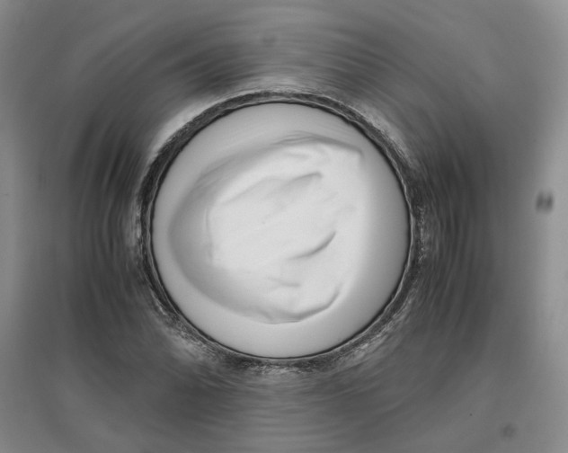 X0000096671070200802261447