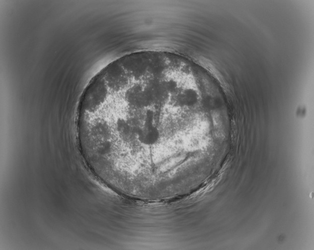 X0000096671071200802261447