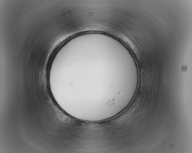 X0000096671072200802261447