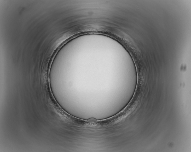 X0000096671073200802261447