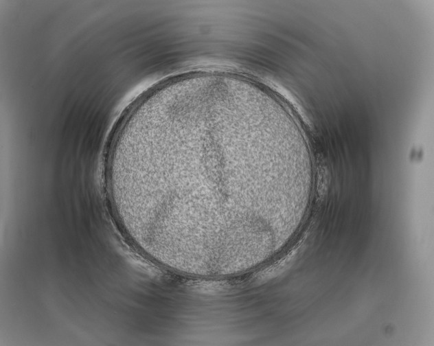 X0000096671074200802261447