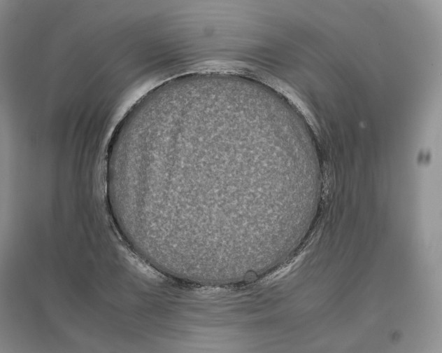 X0000096671075200802261447