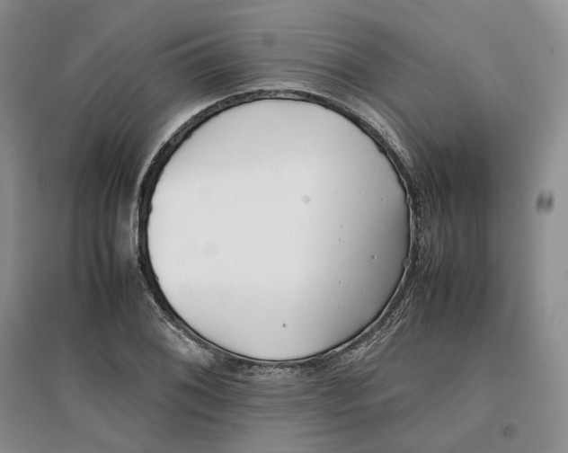 X0000096671076200802261447