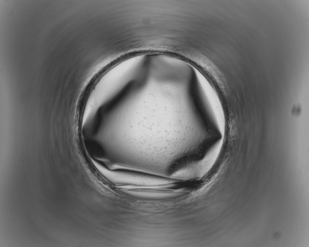 X0000096671077200802261446