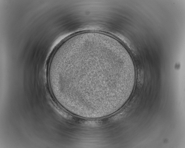 X0000096671078200802261446