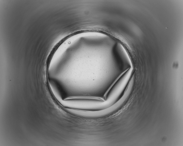 X0000096671079200802261446