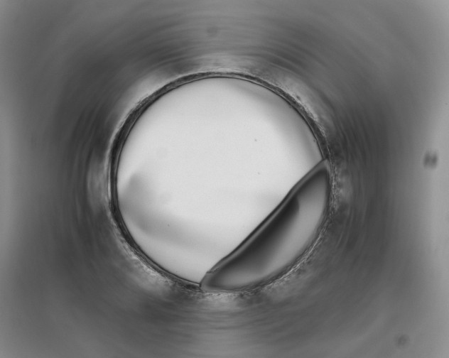 X0000096671080200802261446