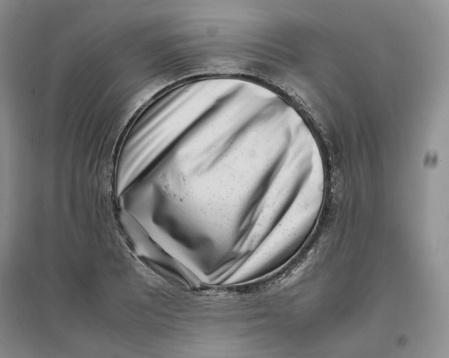 X0000096671081200802261446