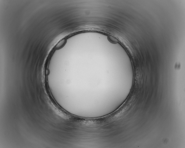 X0000096671082200802261446