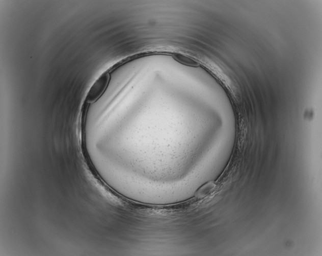 X0000096671084200802261446